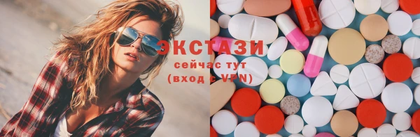 крисы Богородицк