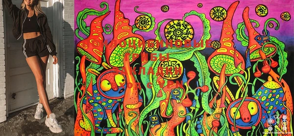 марки nbome Белокуриха
