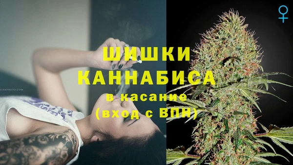 дживик Беломорск
