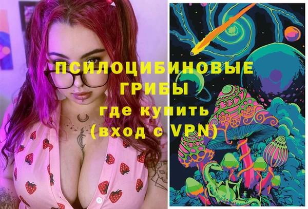 марки nbome Белокуриха