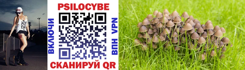 Галлюциногенные грибы Cubensis Бугульма